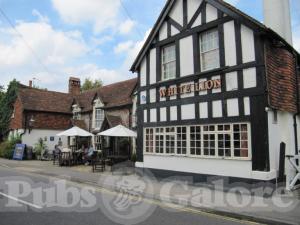 Picture of The White Lion