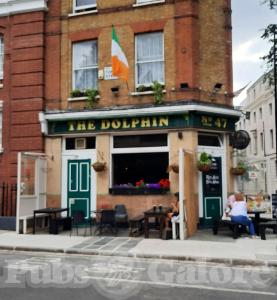 Picture of The Dolphin