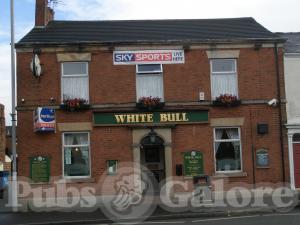 Picture of The White Bull