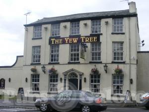 Picture of The Yew Tree