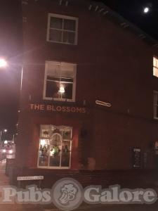 Picture of The Blossoms