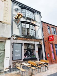 Picture of Swan with Two Necks