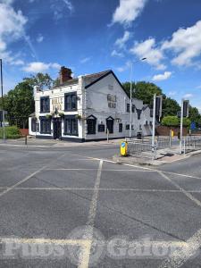 Picture of Bulls Head