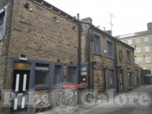 Picture of Turks Head