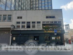 Picture of The Phoenix
