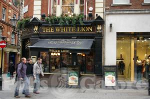 Picture of The White Lion
