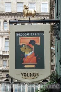 Picture of The Theodore Bullfrog