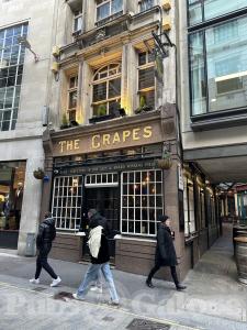 Picture of Bunch of Grapes