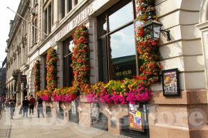 Picture of The Liberty Bounds (JD Wetherspoon)