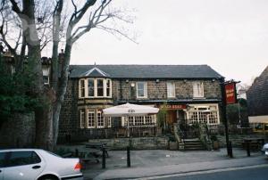 Picture of Bull's Head