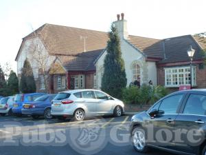 Picture of Round Oak