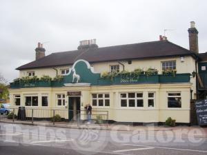 Picture of The White Horse