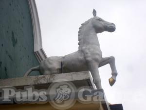 Picture of The White Horse