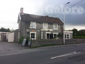 Picture of The Nut Tree