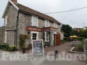 Picture of The Nut Tree