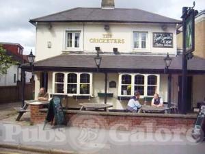 Picture of The Cricketers