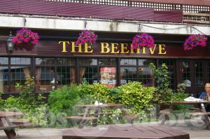 Picture of The Beehive