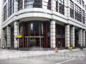Picture of The Red Herring