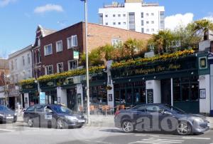 Picture of The Giddy Bridge (JD Wetherspoon)