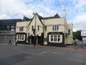 Picture of The Goose