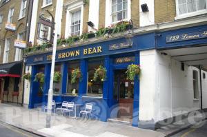 Picture of The Brown Bear