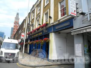 Picture of The Brown Bear