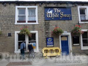 Picture of White Swan
