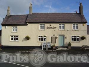 Picture of The Golden Lion