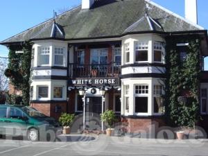 Picture of The White Horse