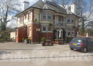 Picture of The White Horse