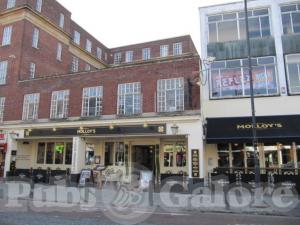 Picture of Slug & Lettuce