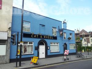Picture of Cat & Wheel