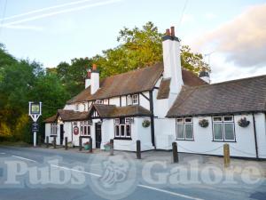 Picture of The Green Man