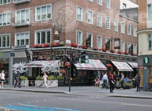 Picture of The Fitzrovia Belle