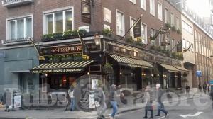 Picture of The Fitzrovia Belle