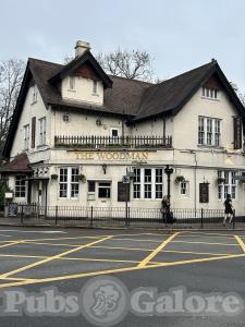 Picture of The Woodman