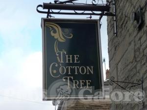 Picture of Cotton Tree