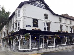 Picture of The White Horse