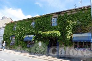 Picture of Blue Boar