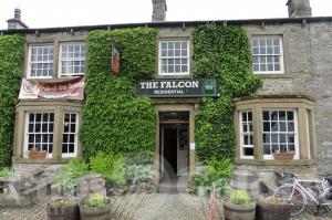 Picture of The Falcon