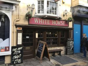 Picture of White Horse