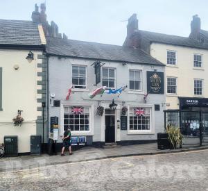 Picture of Golden Lion