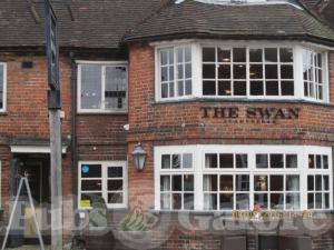 Picture of The Swan