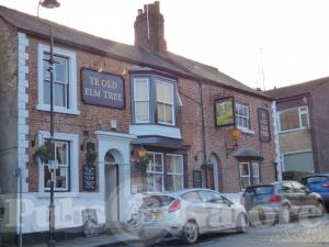 Picture of Ye Old Elm Tree