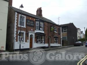 Picture of Ye Old Elm Tree