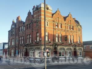 Picture of Mountain Daisy