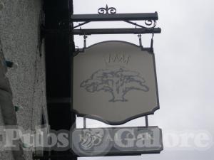 Picture of Royal Oak