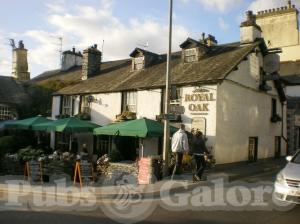 Picture of Royal Oak