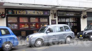 Picture of Tess Rileys