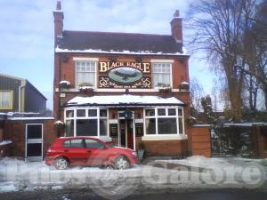 Picture of Black Eagle